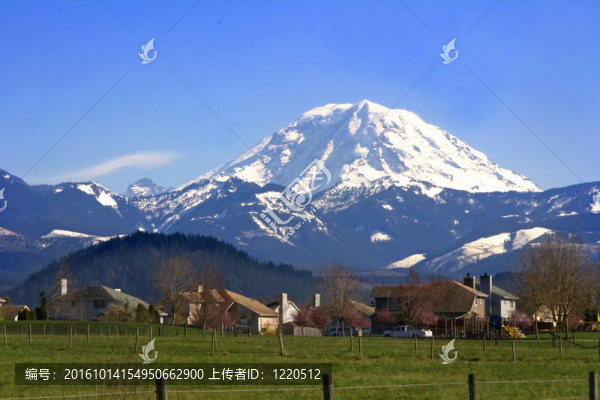 雷尼爾山從穿過田野