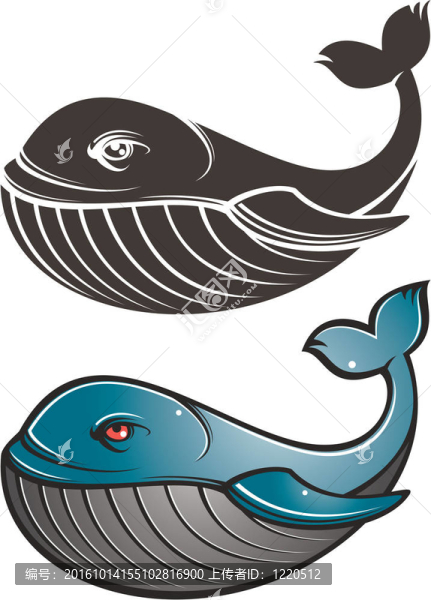鯨魚