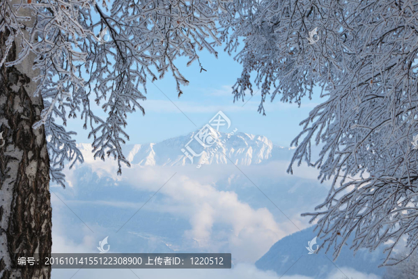 阿爾卑斯山