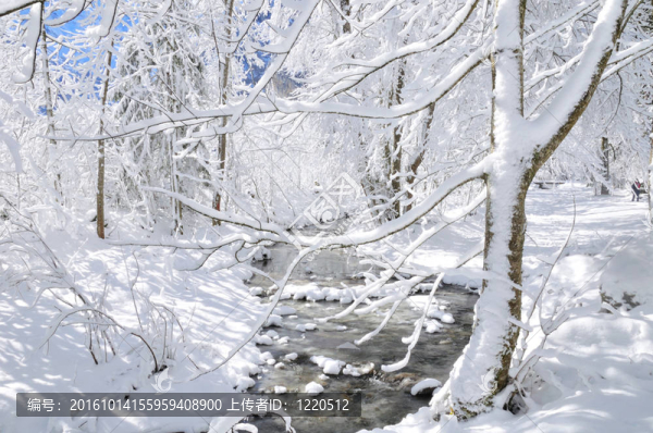 雪流