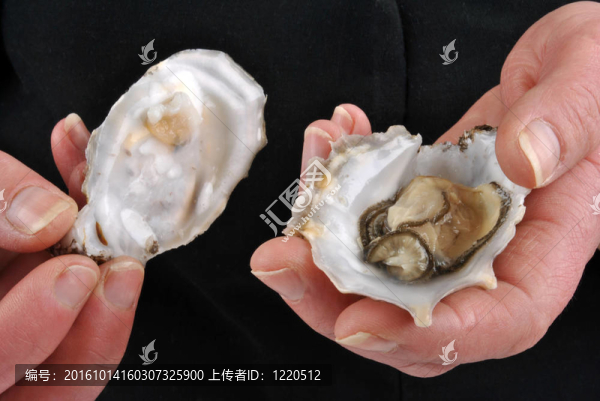 打開并持有一個有機和新鮮牡蠣