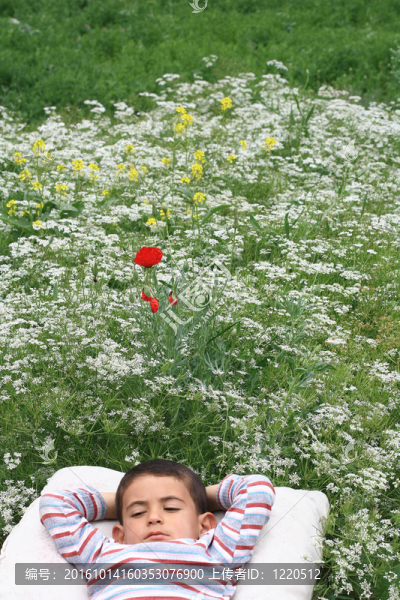 小男孩-匯圖網(wǎng) www.fosd68.com 小男孩