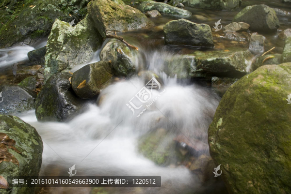 森林里的水泉