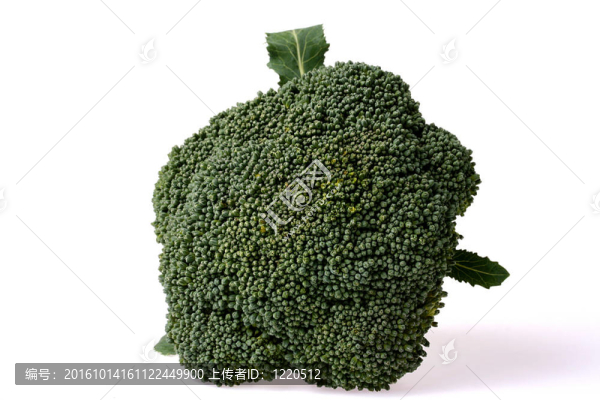 西蘭花