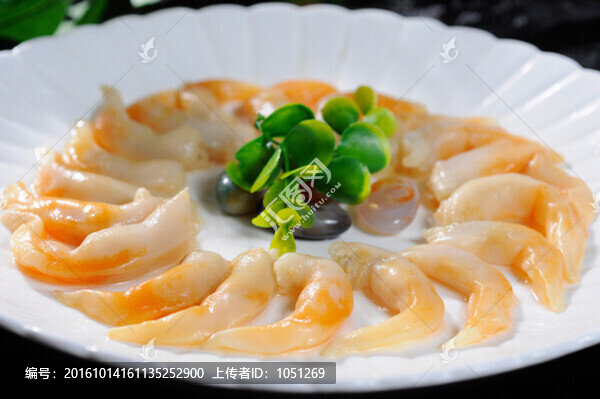 海腸