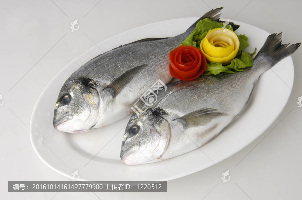 魚(yú)