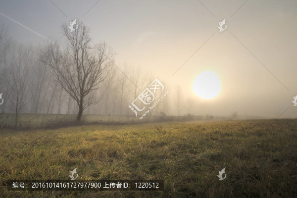 向著太陽(yáng)。
