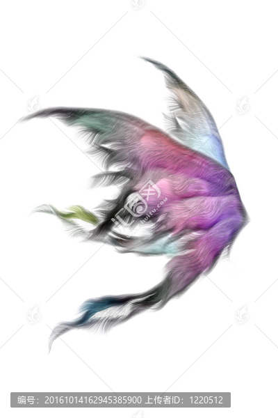 蓬松的翅膀