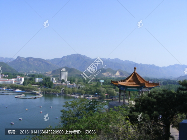 野鴨湖