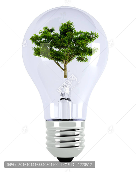 電燈泡