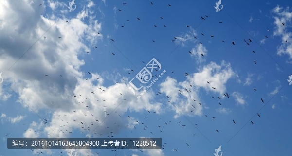 陽光明媚的藍天白云白云
