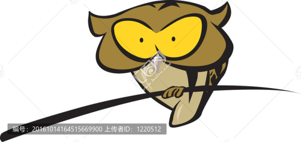 一只貓頭鷹