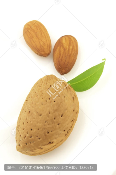 扁桃仁