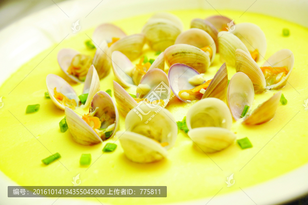 蛤蜊