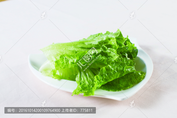 生菜