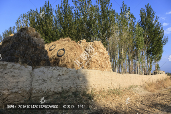 干打壘