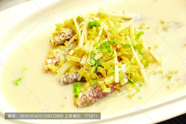 小黃魚
