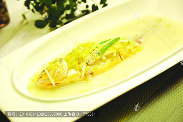 黃魚