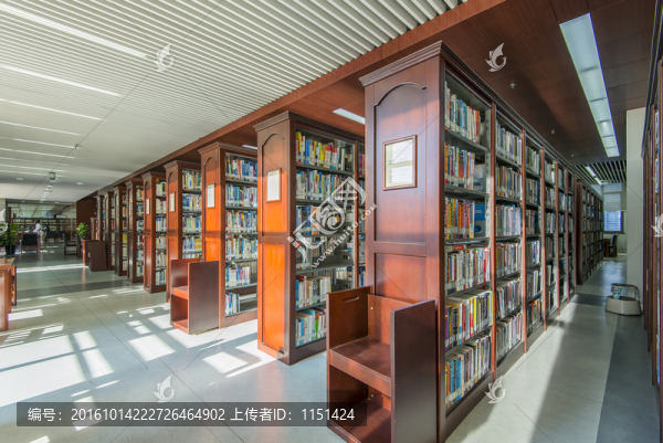 現(xiàn)代圖書館