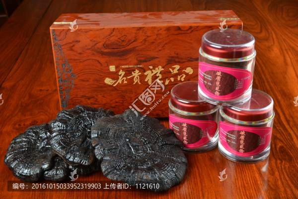 名貴珍品靈芝