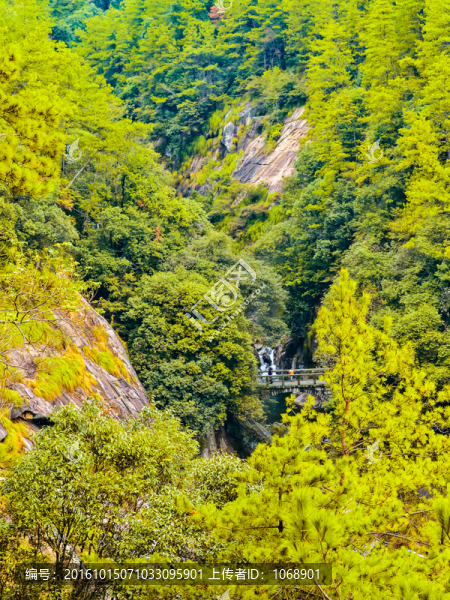峽谷,溪水