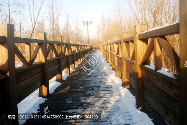 濕地,,雪壓棧道