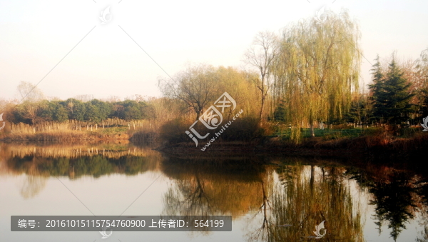 濕地,,秋染湖畔