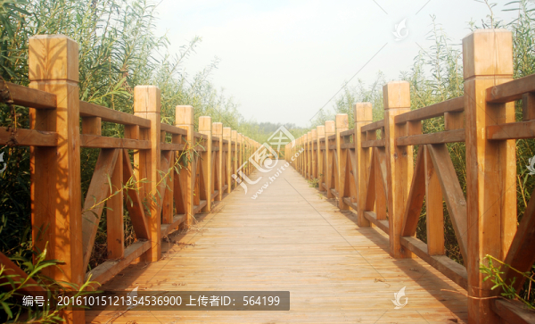 濕地,旅游棧道