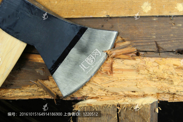 woodworm,08