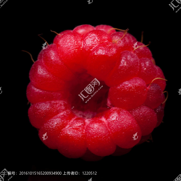 覆盆子特寫。黑上隔離。