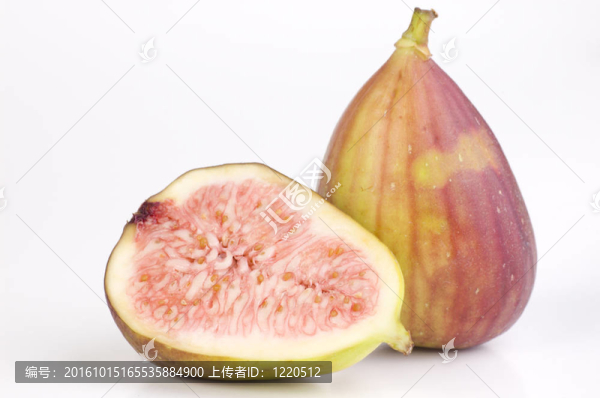 無(wú)花果