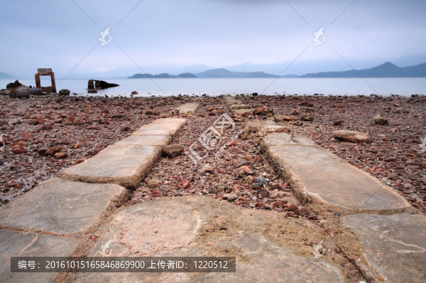 路進(jìn)海