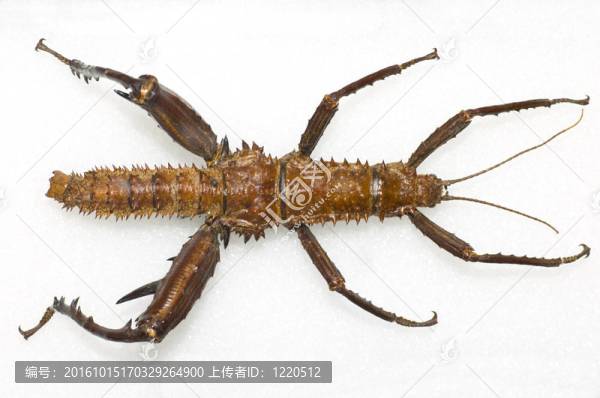 缺陷