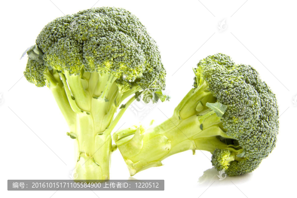 新鮮的西蘭花