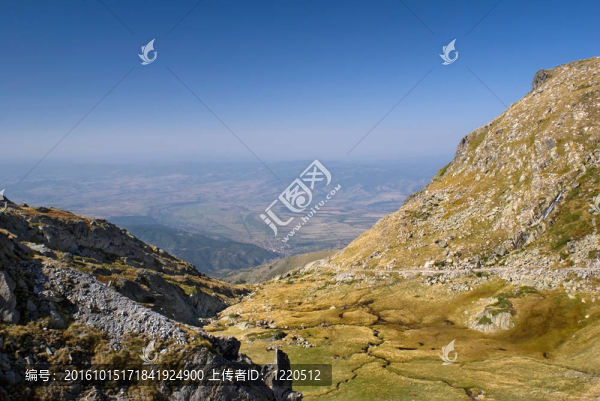 山