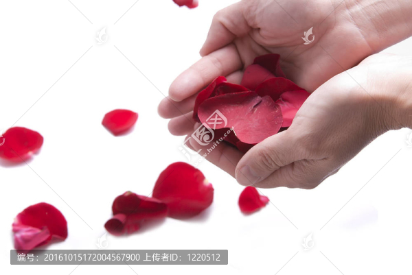 紅色的花瓣