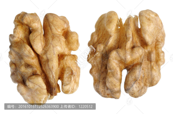 核桃（Juglans,regia）