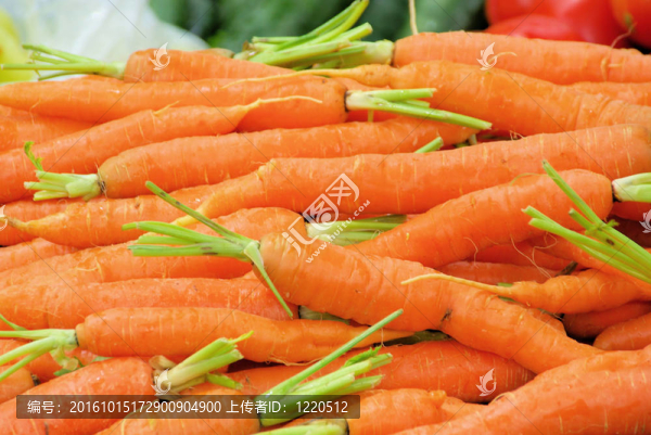 carrot,02