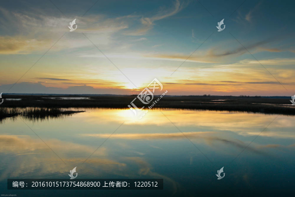 日落沼澤