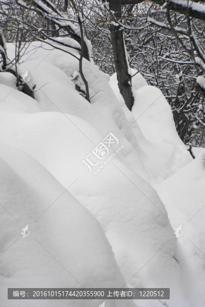 堆雪
