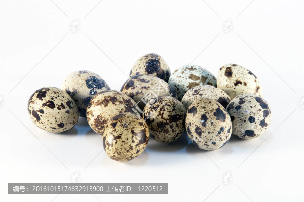 鵪鶉蛋
