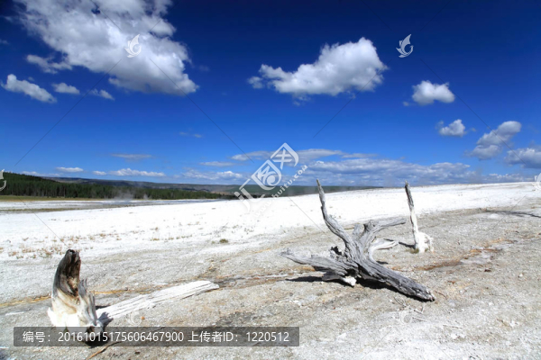 下間歇泉盆地在Yellowstone的景色