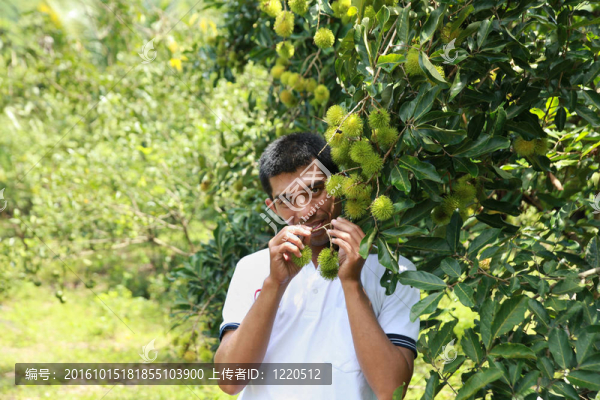 農(nóng)民展示好的植物