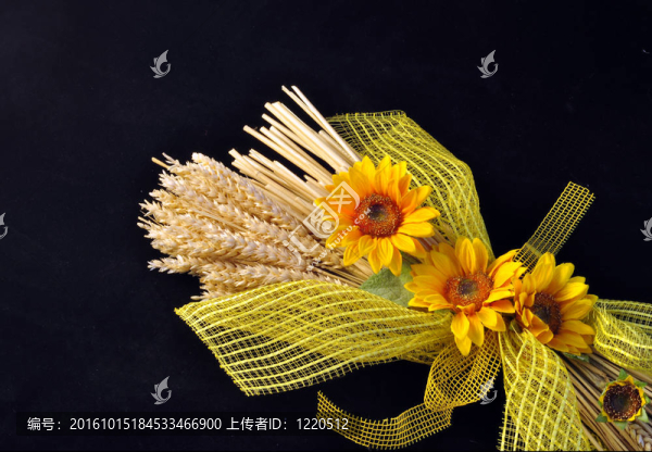 小麥和向日葵