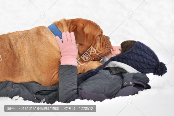 巨大的狗和她的主人在Snow