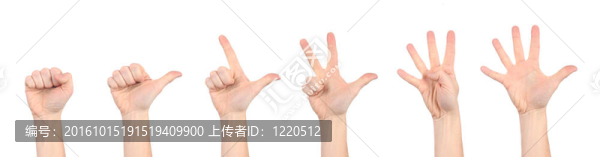 手