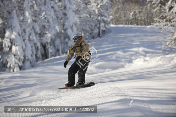 自由式滑雪和騎馬跳躍