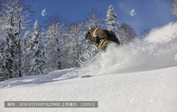 自由式滑雪和騎馬跳躍