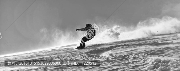自由式滑雪和騎馬跳躍