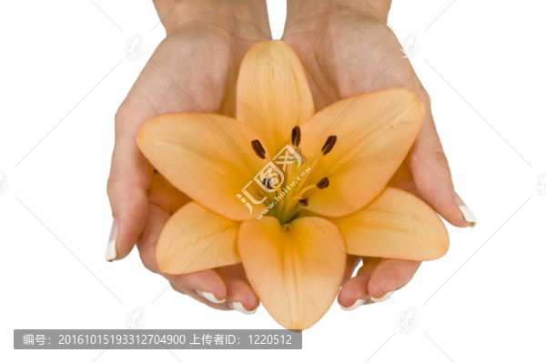 健康